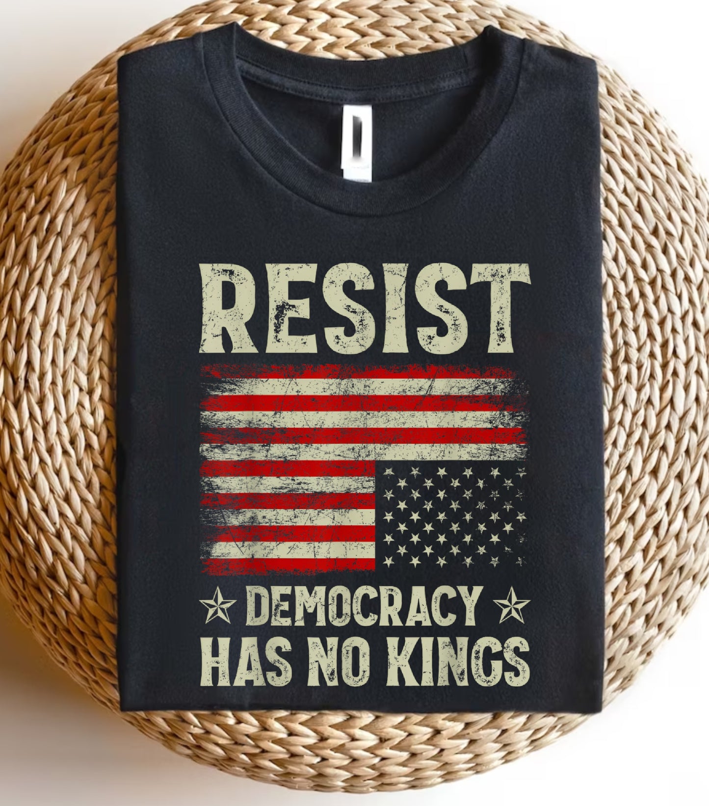 No Kings in America Sweatshirt, Anti Authoritarian Protest Sweatshirt, For Social Justice Sweatshirt,  Democracy Not Monarchy America Sweatshirt, Nope Kings Sweatshirt (Copy) (Copy)