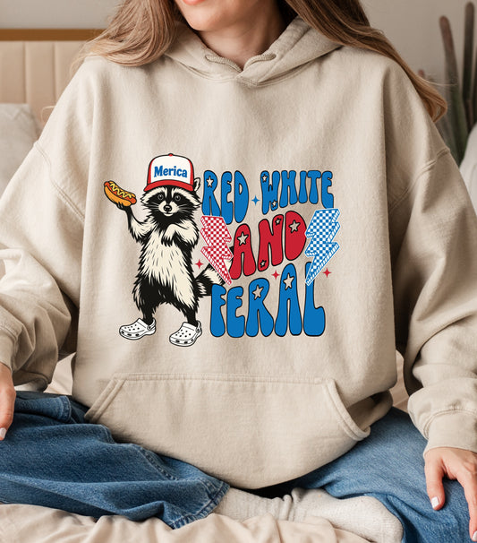 Coquette Floral USA Glitter Hoodie, Preppy America Floral hoodie, USA 1776, 4th Of July Stars Stripe hoodie, Girly America Coquette hoodie (Copy)