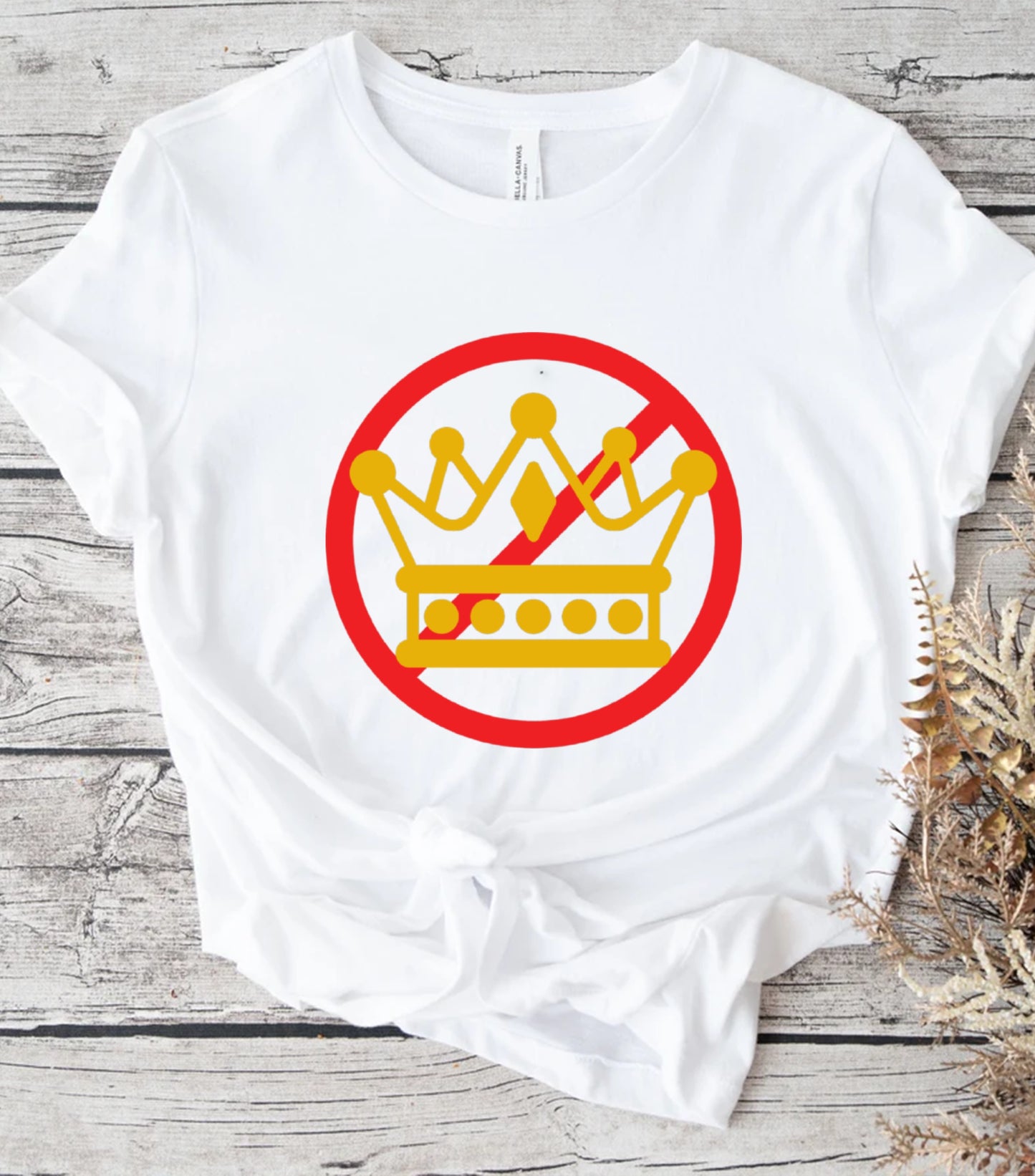 No Kings in America T-Shirt, Anti Authoritarian Protest T-Shirt, For Social Justice Shirt,  Democracy Not Monarchy America Shirt, Nope Kings T-Shirt (Copy) (Copy) (Copy)