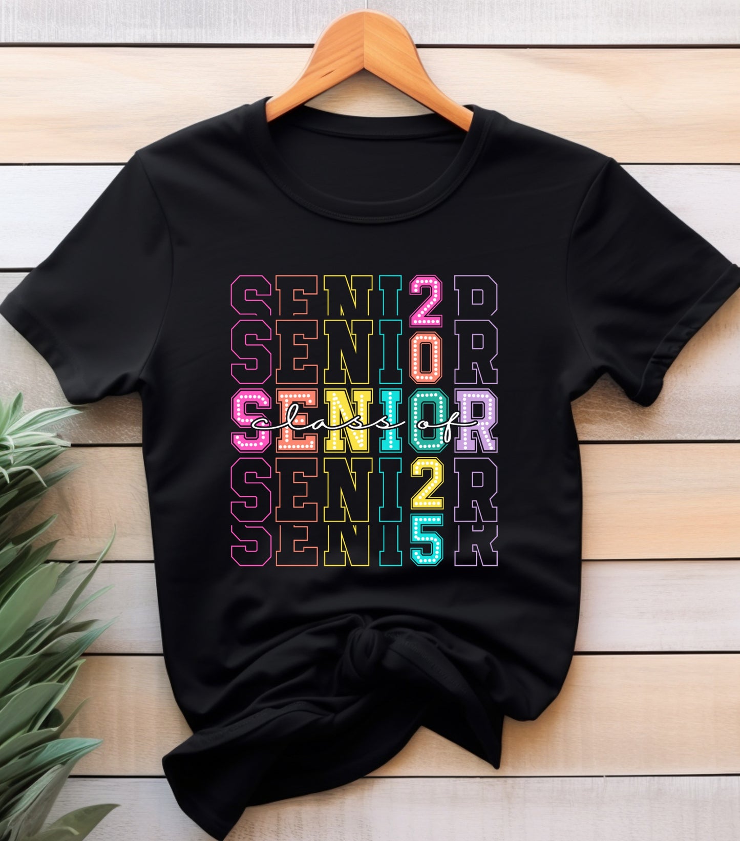 Senior 2025 Shirt, Retro Graduation Shirt, Class of 2025 Shirt, High school Senior Shirt